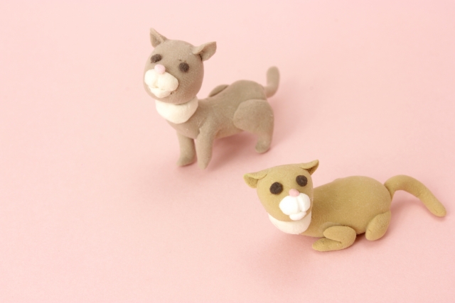 ネットで検索する猫